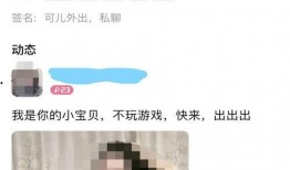 91直播裸体女动漫软件,网络直播的道德边界与监管挑战